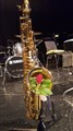 180414 M7 Saxofon + ros.jpg